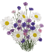 квіти - png gratis