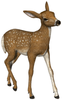 Kaz_Creations Deer - ücretsiz png