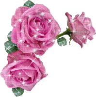 розы - 免费动画 GIF