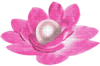 Flower.Pearl.Pink.White - PNG gratuit