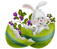 ostern easter hase milla1959 - Free animated GIF