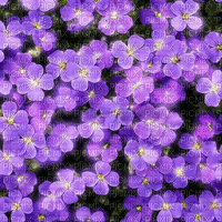 VanessaVallo _crea-  flowers animated background - GIF animasi gratis