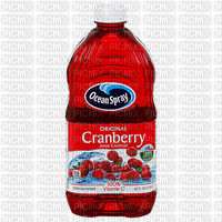 Cranberry Juice - Free PNG