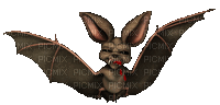 bat - Darmowy animowany GIF