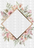 Frame Floral - png gratis