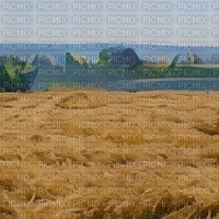 Straw Field Background - png gratis