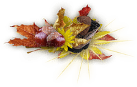 Herbstblätter, Kastanien, Deko - darmowe png