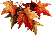 autumn leaves Bb2 - Bezmaksas animēts GIF