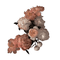 Roses ♫{By iskra.filcheva}♫ - zadarmo png
