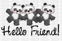 pandas - Darmowy animowany GIF