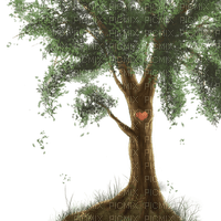 tree - бесплатно png