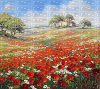 Rena Hintergrund Landschaft Mohnblumen - gratis png