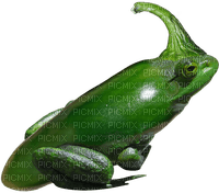 poblano pepper frog - ücretsiz png