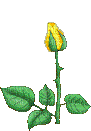 rose jaune - Ilmainen animoitu GIF