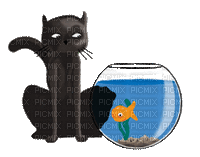 cat chat katze animal tier fish pot glass fun fisch poisson gif anime animated animation tube - Free animated GIF