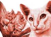 Y.A.M._Art Fantasy cat red - gratis png