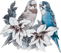 soave deco summer bird tropical parrot flowers - δωρεάν png