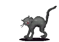 chat hérrissé - Besplatni animirani GIF
