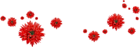 Red Flowers Deco