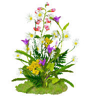 Animated.Flowers.White.Purple - By KittyKatLuv65 - Бесплатни анимирани ГИФ