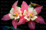 flowers with bees - Besplatni animirani GIF
