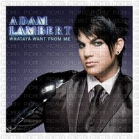Kaz_Creations Adam Lambert Singer Music - безплатен png