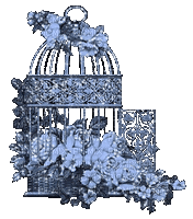 deco jaula flores celeste gif dubravka4 - Безплатен анимиран GIF