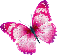butterfly  Bb2 - δωρεάν png