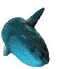 small mola mola sticker - Δωρεάν κινούμενο GIF