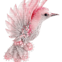 fågel-rosa - PNG gratuit