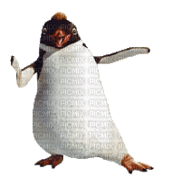 Pinguin - Gratis animeret GIF