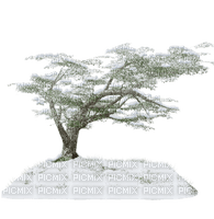 arbre hiver - ücretsiz png