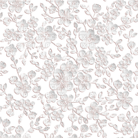 White lace - δωρεάν png