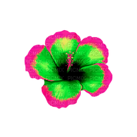 Tropical.Flower.Green.Pink - bezmaksas png