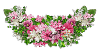 flower cluster - png grátis