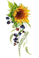 sunflower, blackberries, autumn, mûres - GIF animasi gratis