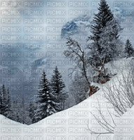 Rena Winter Forest Wald Background Hintergrund - ücretsiz png