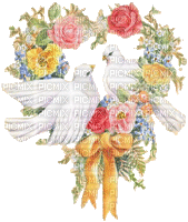 cecily-colombes fleurs - Ingyenes animált GIF