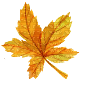 nbl-leaf - 免费PNG