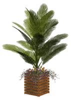 Kaz_Creations Flowers Plant Deco Vase - безплатен png