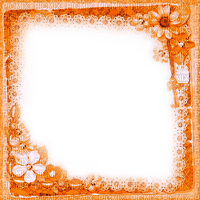 Orange Flowers Frame - By KittyKatLuv65 - 免费PNG