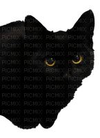Black Cat - PNG gratuit