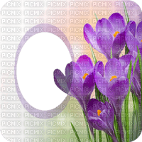 cadre, frame,spring,fleur,Pelageya - besplatni png