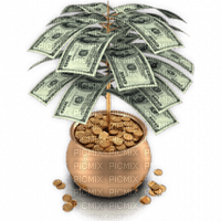 money tree bp - zadarmo png