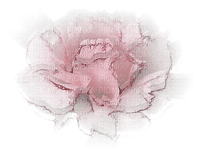Rysunek kwiat - Free PNG