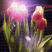 tulpen milla1959 - Gratis geanimeerde GIF