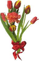Blumen, Tulpen, Flowers - Darmowy animowany GIF