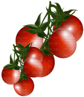 tomates - png grátis
