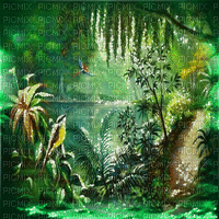 jungle milla1959 - Ingyenes animált GIF