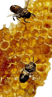 bee biene insect honey abeille - zdarma png